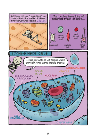 Illustration for article titled Maris Wicks on her new comic, Human Body Theater, and making a musical out of poop